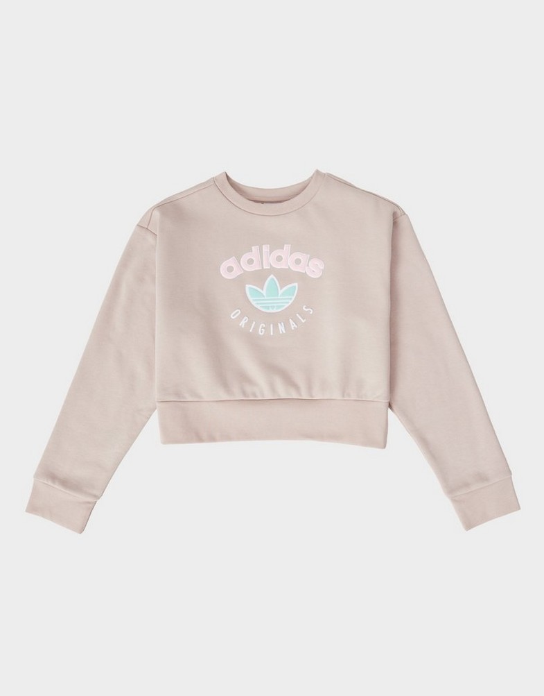 Bluza dziecięca ADIDAS BLUZA (G)LOGO CRP CREW BEIGE G JN2119 Beżowy