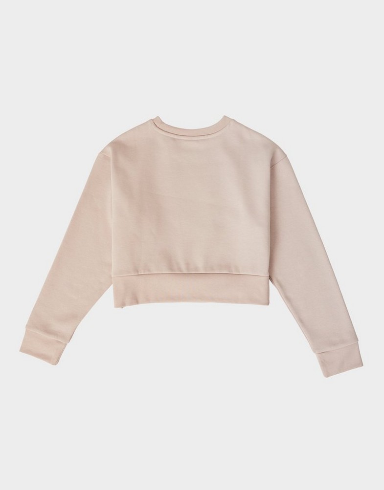 Bluza dziecięca ADIDAS BLUZA (G)LOGO CRP CREW BEIGE G JN2119 Beżowy