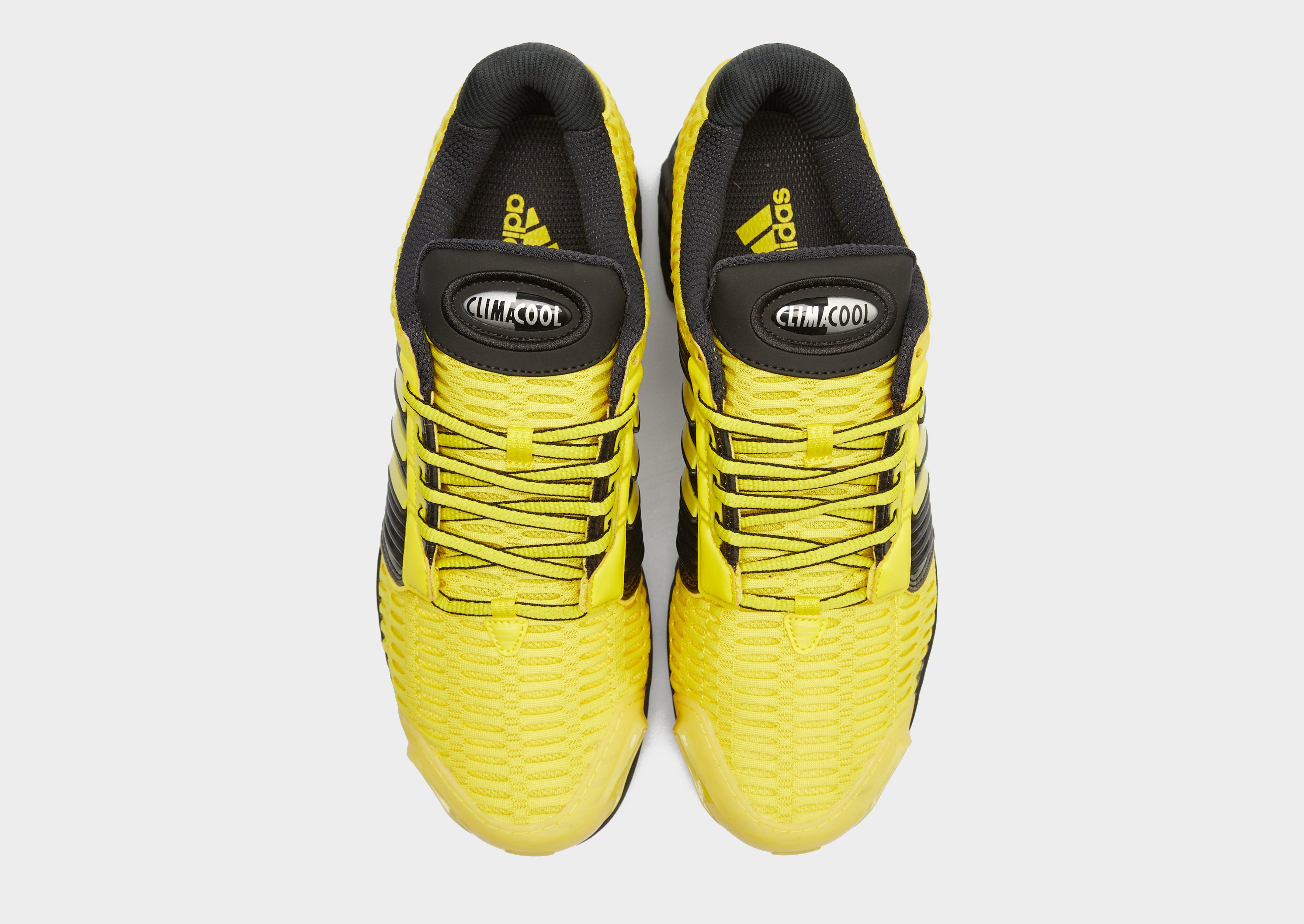 Buty sneakersy męskie ADIDAS CLIMACOOL 1 JR3688 Złoty