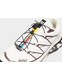 SALOMON XT-6