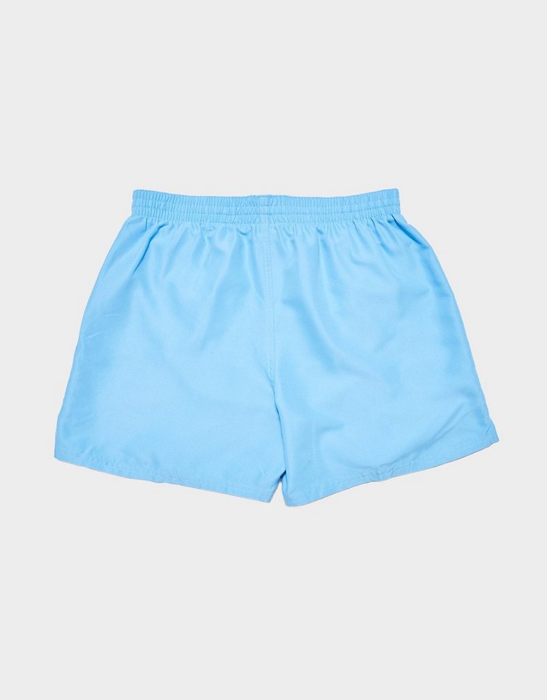 Pantaloni scurți pentru bărbați NIKE SWIM PANTALONI SCURȚI NIKE SWIM-PANTALONI   SCURȚI ESSE NESSF560438 Albastru
