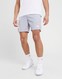 THE NORTH FACE SZORTY 24/7 SHORT TNFLIGHTGREYHTR