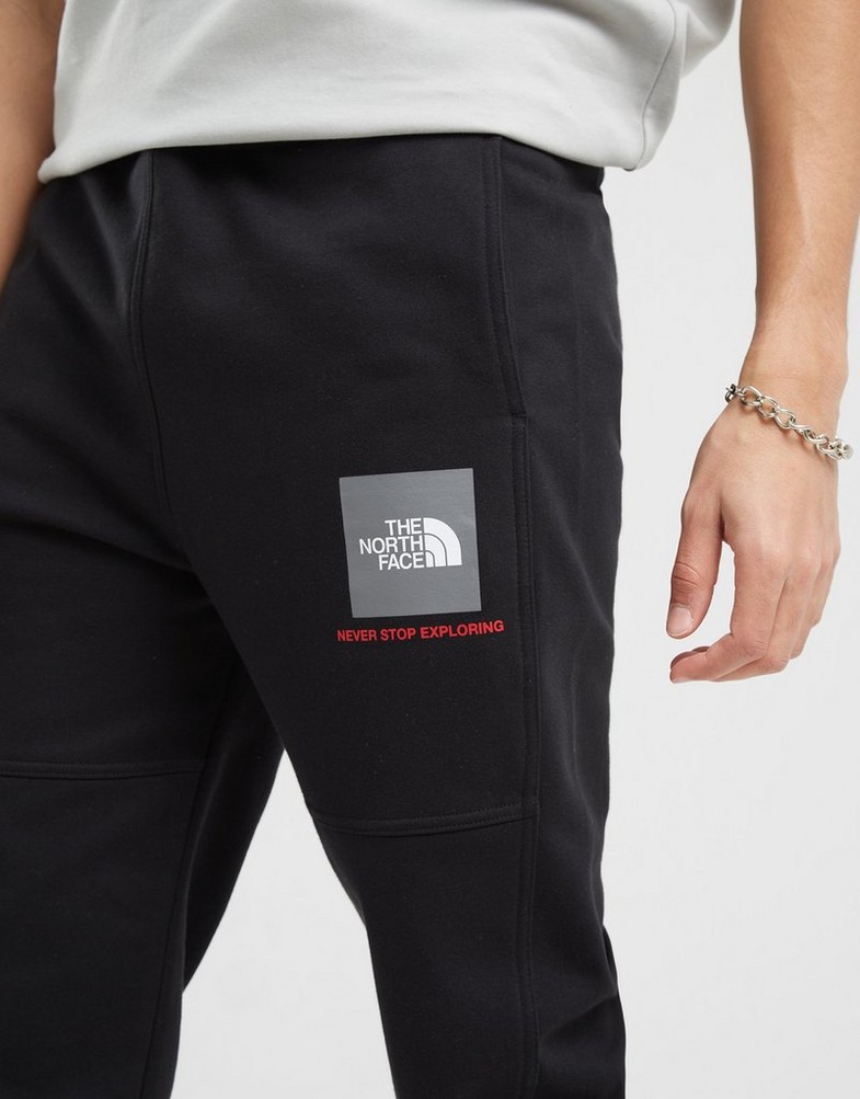 THE NORTH FACE SPODNIE FINE BOX