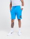 THE NORTH FACE PANTALONI SCURȚI   SMALL BOX LIGHT SUPER BLUE