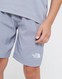 THE NORTH FACE PANTALONI SCURȚI   REACTOR SHORT MID GREY