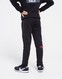 THE NORTH FACE NADRÁG SMALL BOX LINE PANT TNF BLK