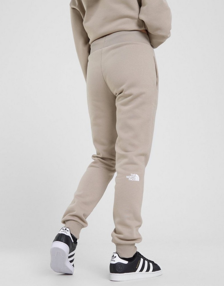 THE NORTH FACE SPODNIE OUTLINE BOX GRAPHIC P FLAX NF0A84ZNCEL1 Beżowy