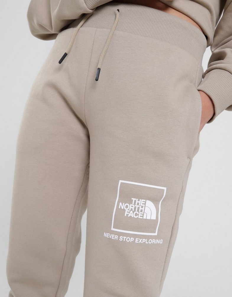 THE NORTH FACE SPODNIE OUTLINE BOX GRAPHIC P FLAX NF0A84ZNCEL1 Beżowy