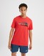 THE NORTH FACE T-SHIRT LARGE LOGO GRAPHIC S RED