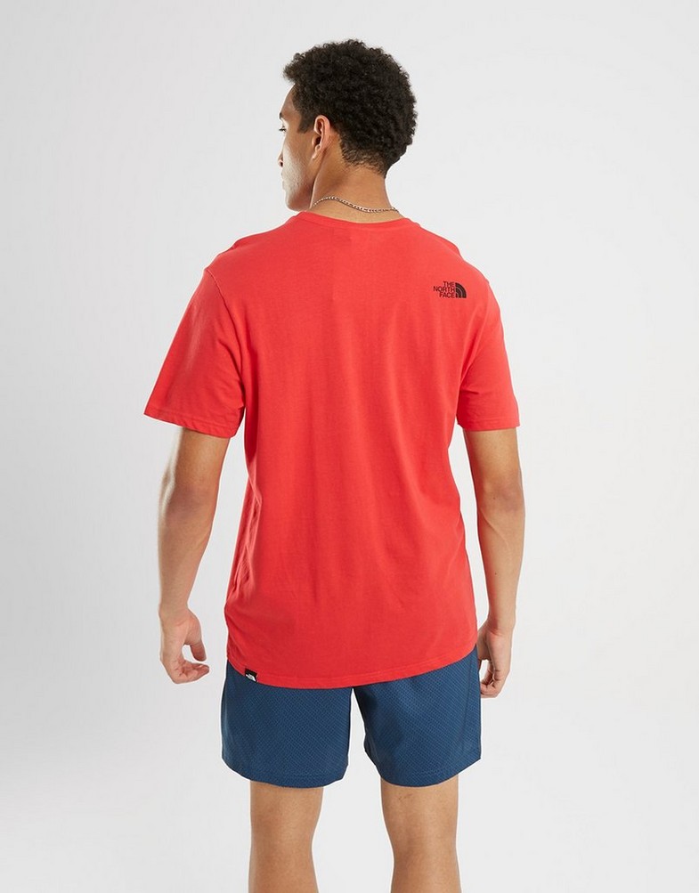 Koszulka, t-shirt męski THE NORTH FACE T-SHIRT LARGE LOGO GRAPHIC S RED NF0A851B6821 Czerwony