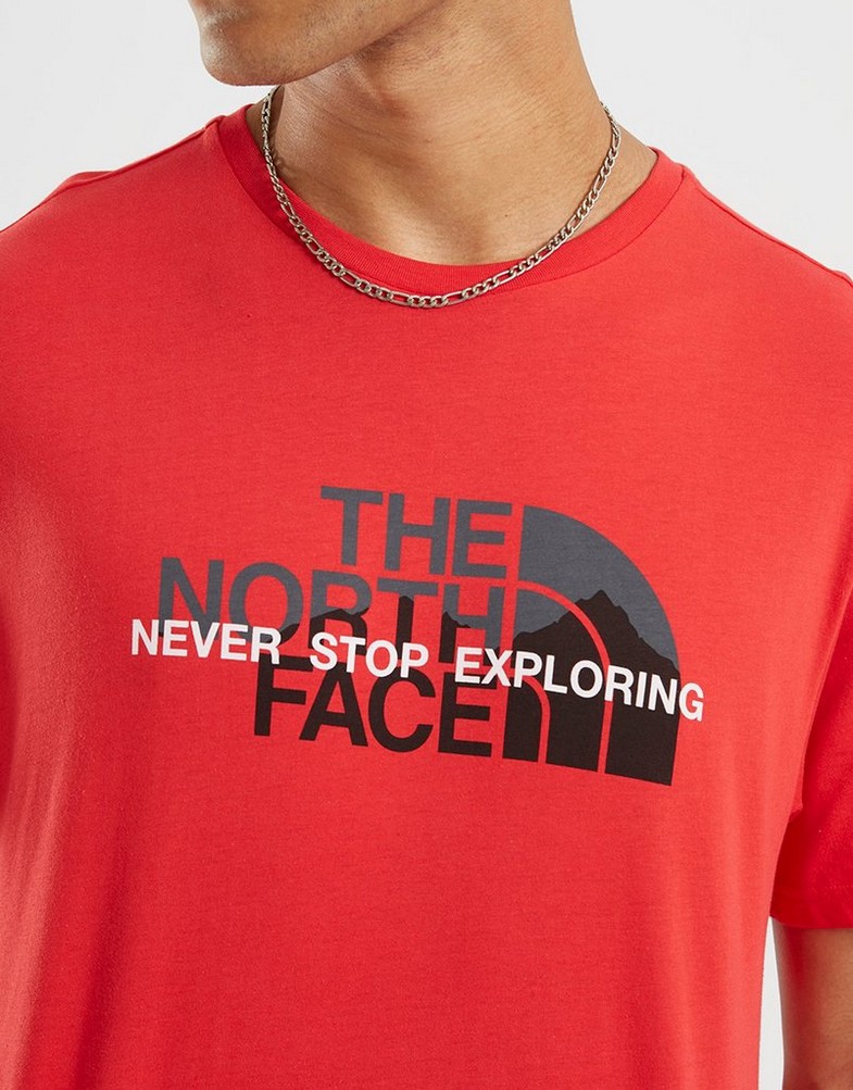 Koszulka, t-shirt męski THE NORTH FACE T-SHIRT LARGE LOGO GRAPHIC S RED NF0A851B6821 Czerwony