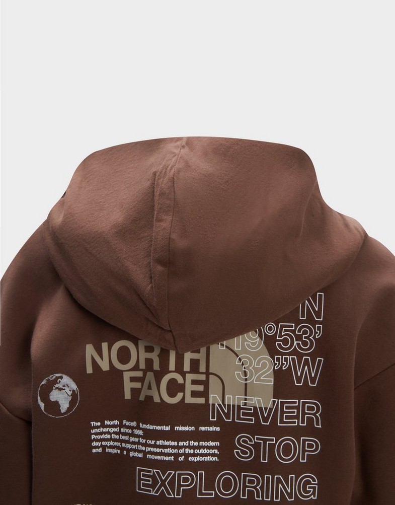 Bluza damska THE NORTH FACE BLUZA Z KAPTUREM MULTIWORLD G HO BR NF0A858K0KA1 Brązowy