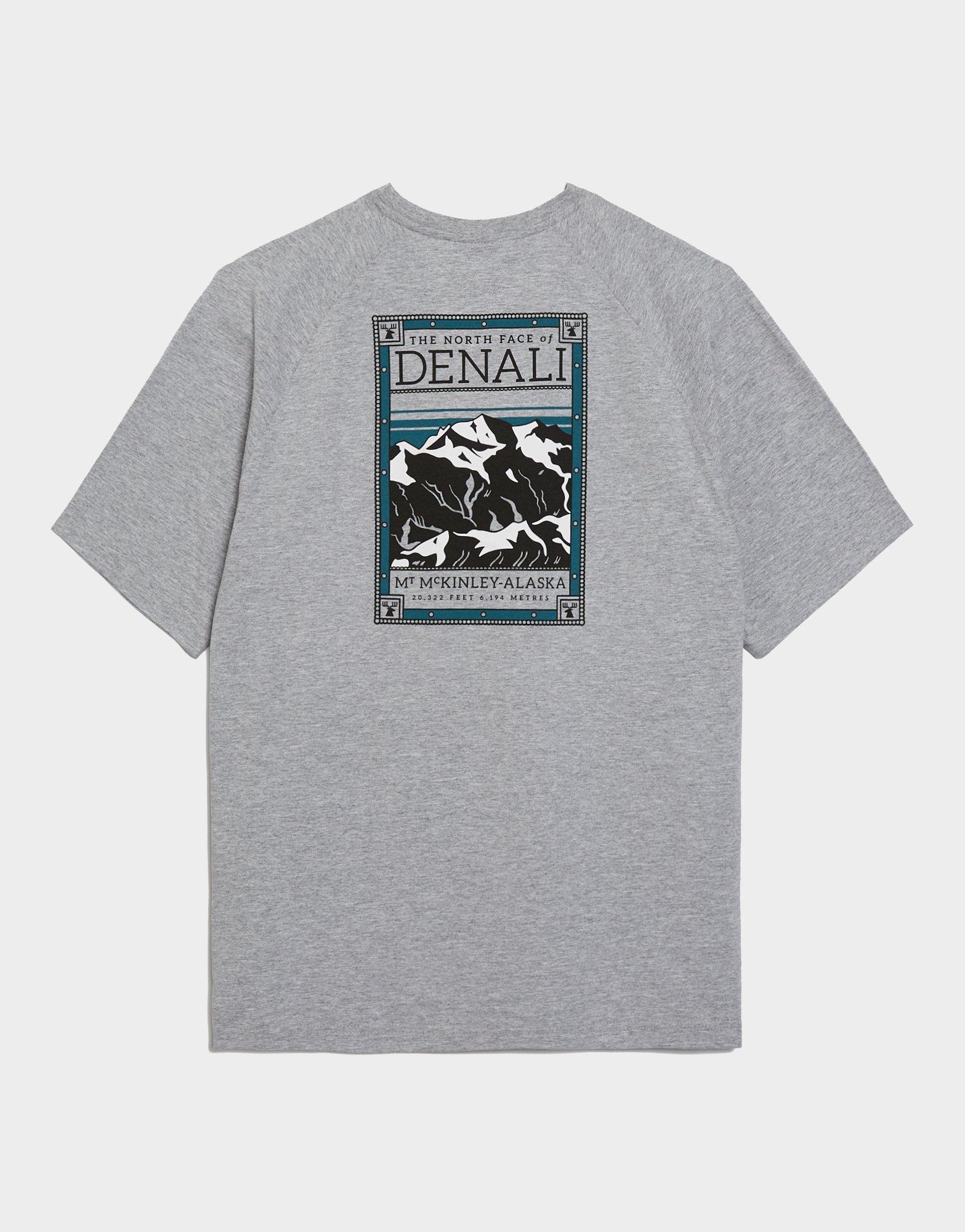 Férfi póló THE NORTH FACE PÓLÓ M SS NORTH FACES TEE NF0A87NUDYX1 Szürke