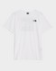 THE NORTH FACE PÓLÓ M SS BOX NSE CEL TEE