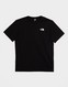 THE NORTH FACE PÓLÓ M SS BOX NSE CEL TEE