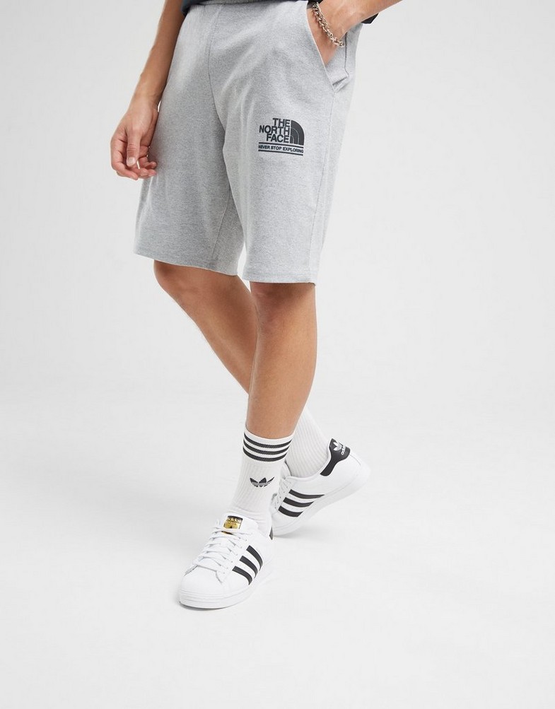 Чоловічі шорти THE NORTH FACE ШОРТИ . NF0A88ARDYX1 Сірий