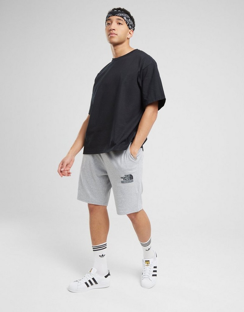 Чоловічі шорти THE NORTH FACE ШОРТИ . NF0A88ARDYX1 Сірий