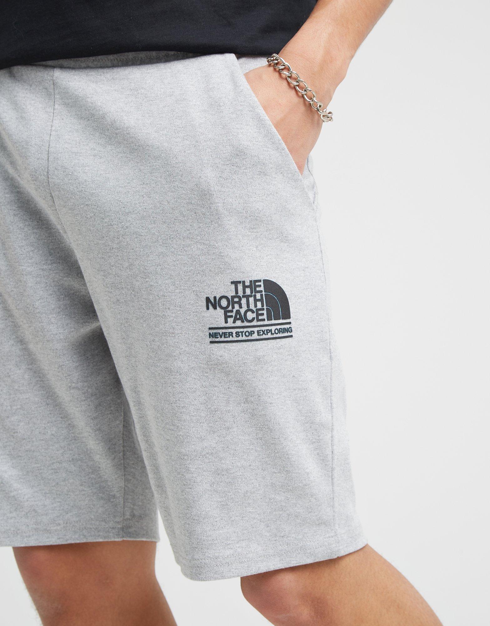 Pánske šortky THE NORTH FACE ŠORTKY NF0A88ARDYX1 Sivá