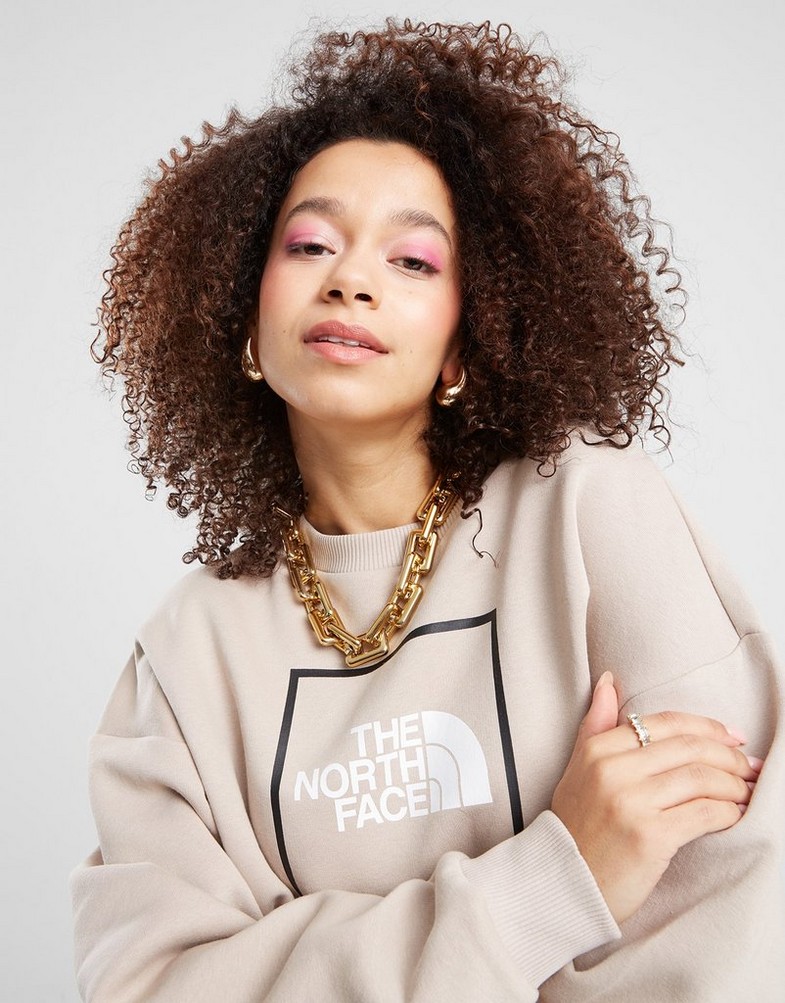 Жіночі кофти THE NORTH FACE КОФТА NF0A88CYNXY1 Бежевий