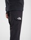 THE NORTH FACE ШТАНИ CARGO B