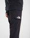 THE NORTH FACE SPODNIE CARGO B