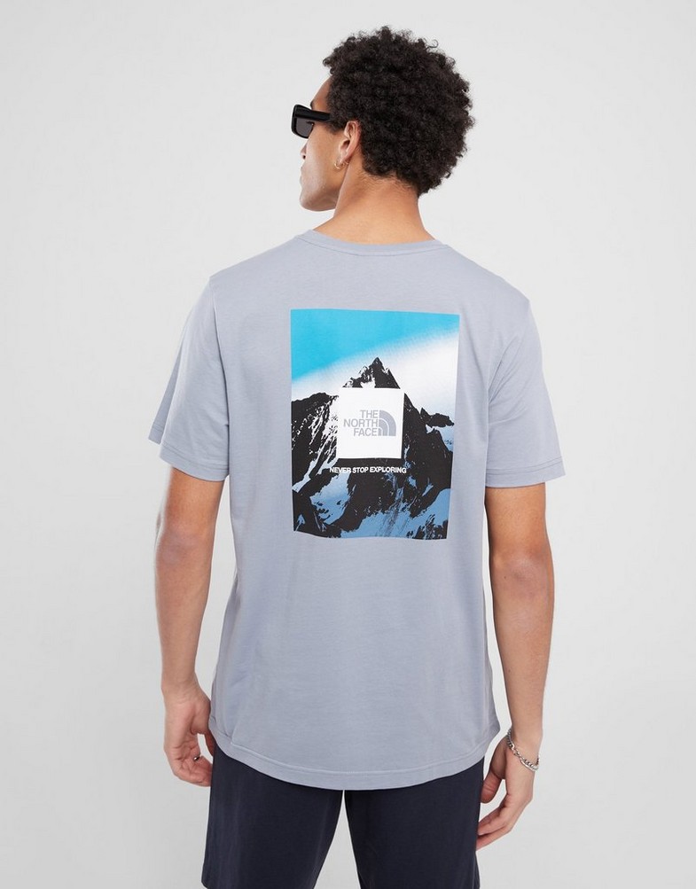 Koszulka, t-shirt męski THE NORTH FACE T-SHIRT MTN POSTER T T'WINDS