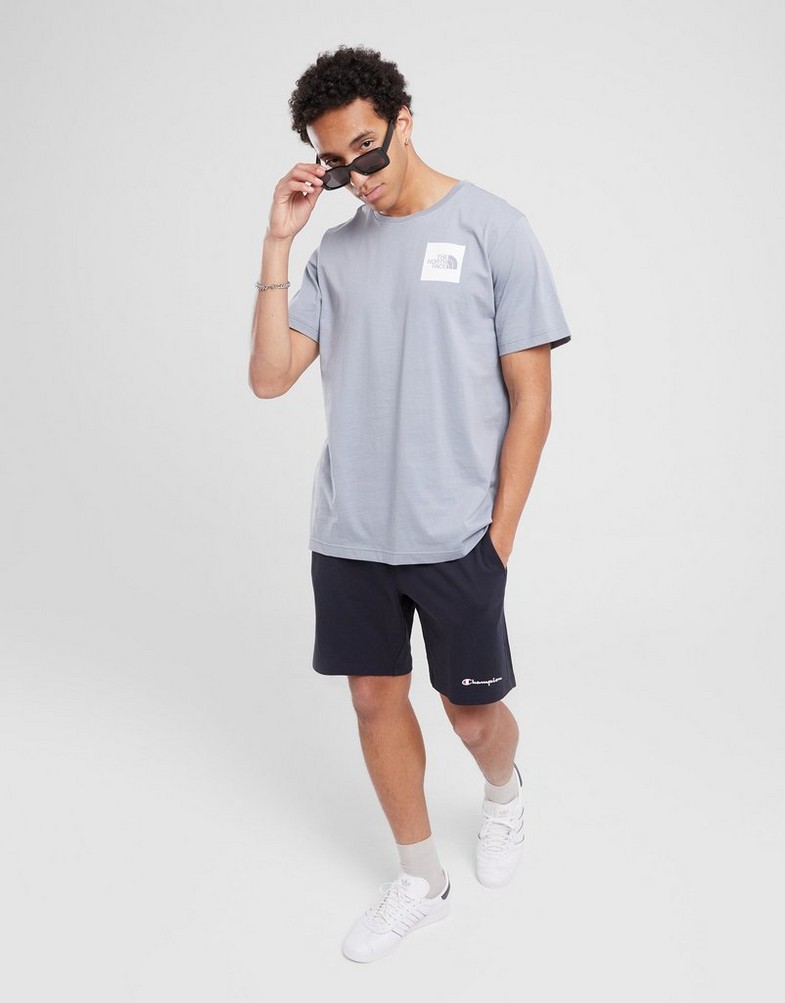 Чоловічі футболки THE NORTH FACE ФУТБОЛКА MTN POSTER T T'WINDS NF0A8BMJZDK1 Сірий