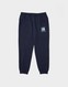 THE NORTH FACE PANTALONI  FINE BOX PNT SUM NVY