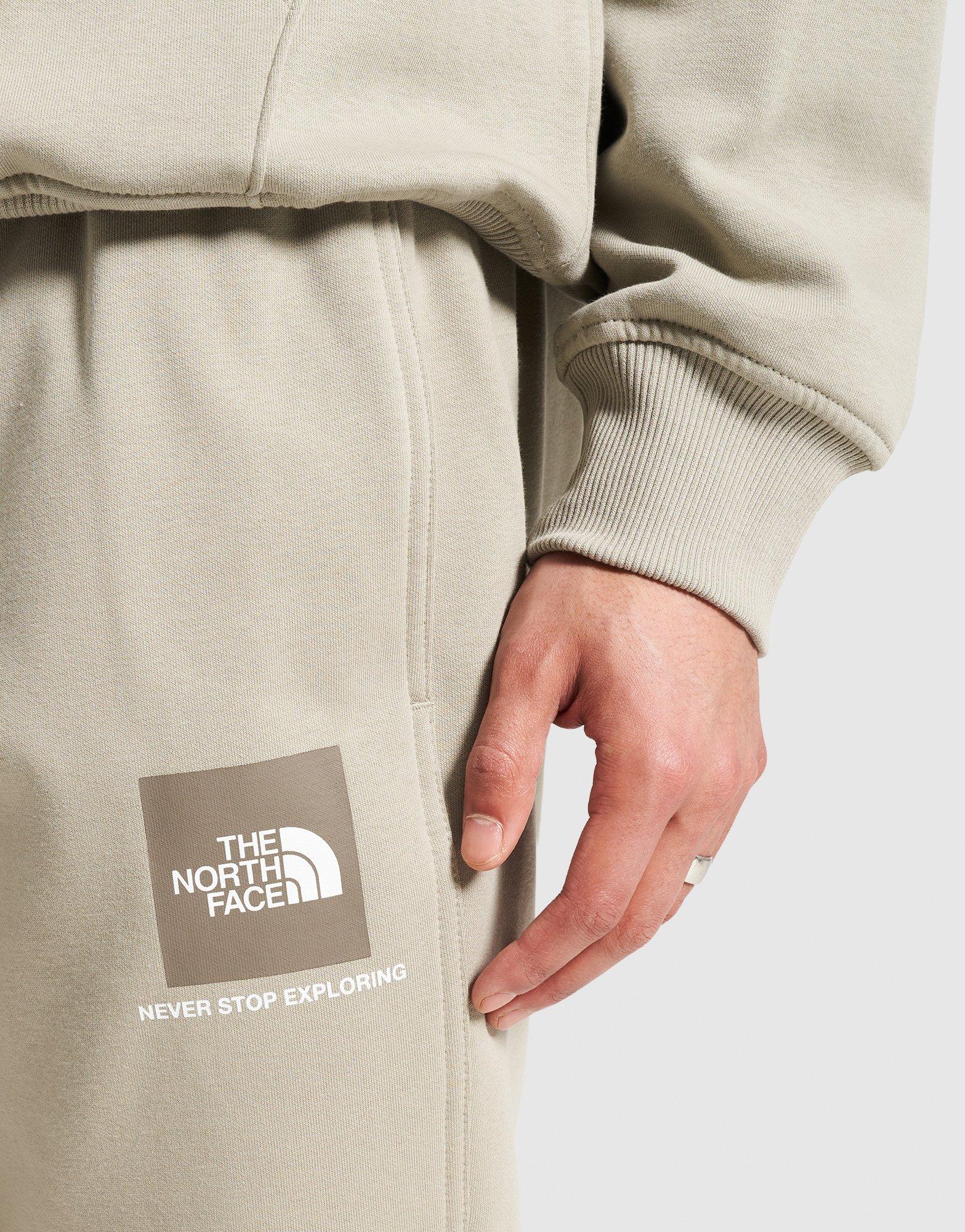 Vyriškos kelnės THE NORTH FACE KELNĖS M SMALL BOX PANT NF0A8CAX8ZO1 Rusva