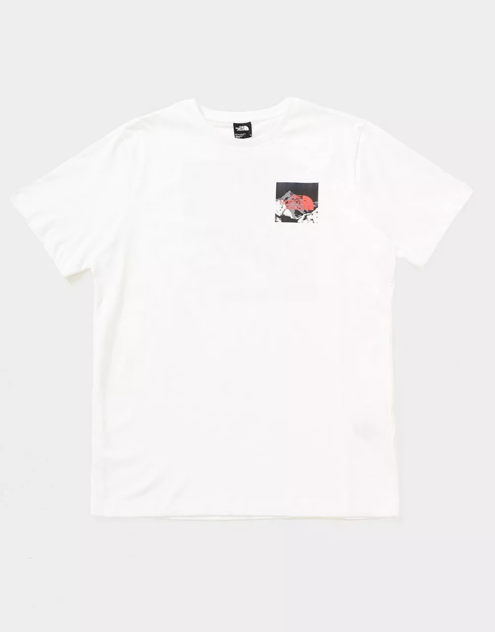 THE NORTH FACE ФУТБОЛКА ENERGY MNT T WHT, фото 1 з 3