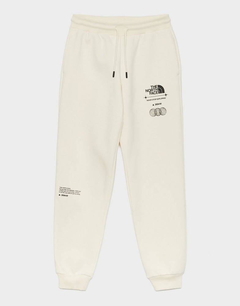 Dámske nohavice THE NORTH FACE NOHAVICE  LOCATION GRAPHIC PANT NF0A8F7NQLI1 Béžová