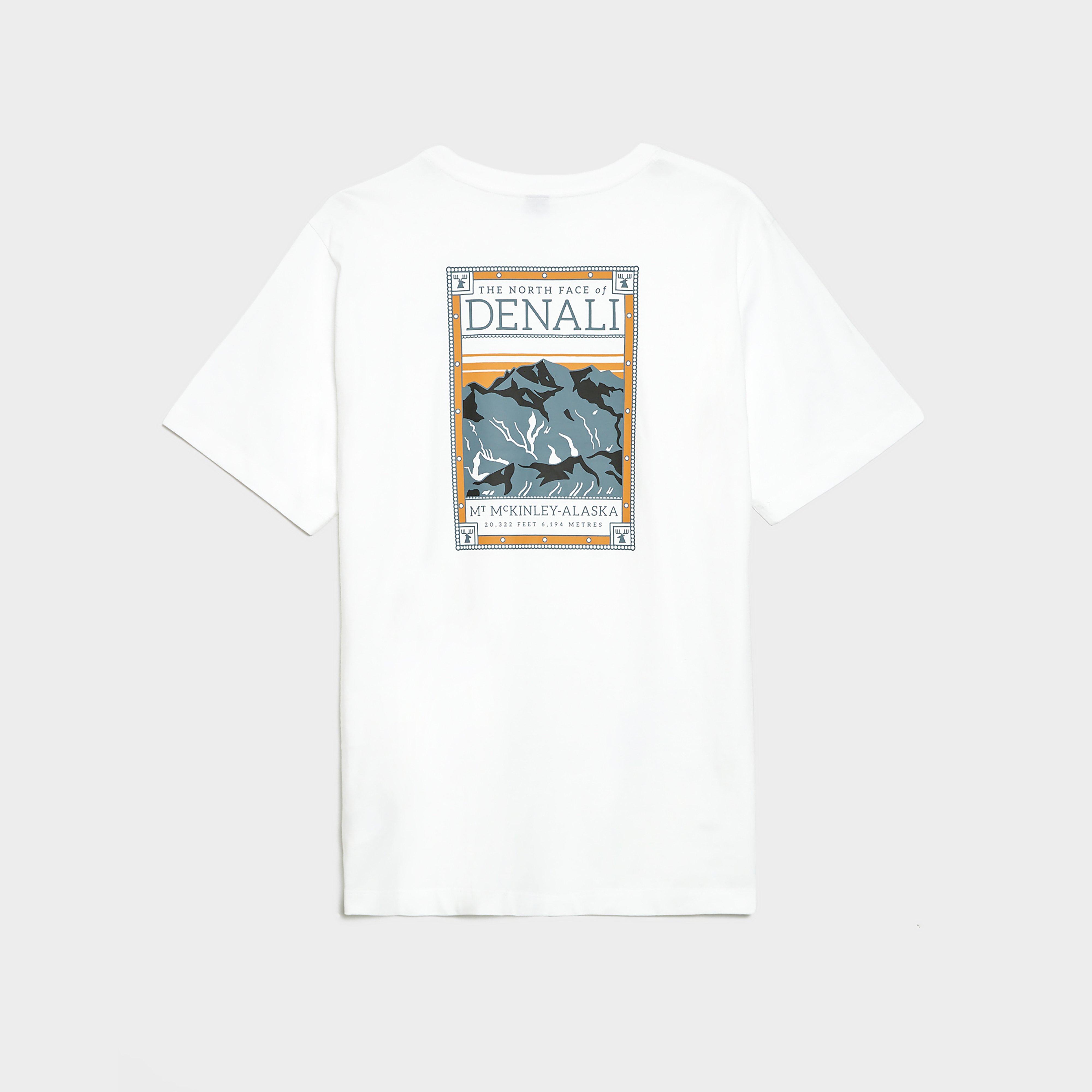 Чоловічі футболки THE NORTH FACE ФУТБОЛКА M   NORTH FACES REGULAR SH SL