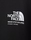 THE NORTH FACE COLANȚI PERFORMANCE GRAPHIC LEGG