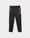 THE NORTH FACE ШТАНИ MITT PT BLACK/RED
