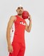 FILA МАЙКА REGGIE BBBAL VST RED
