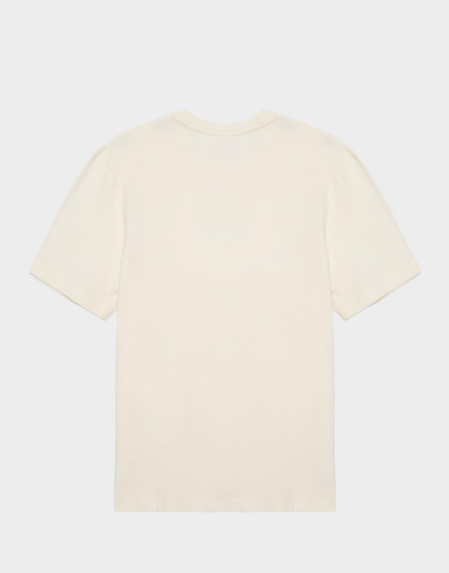 Koszulka, t-shirt męski REEBOK T-SHIRT SLYVAIN RK25444MGM100032 Beżowy