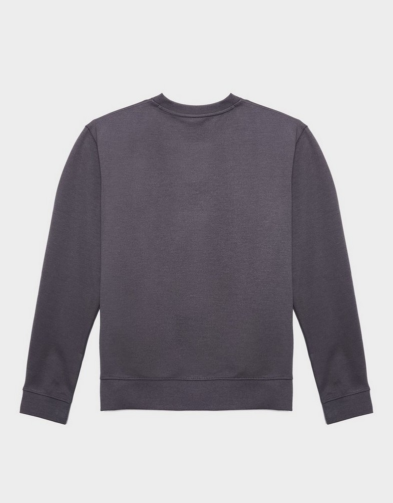 Pánska mikina LACOSTE MIKINA URBAN SWEATSHIRT SH5127S5T Sivá