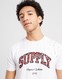 SUPPLY&DEMAND T-SHIRT TEAM SPLATTER TEE OPTIC WHIT