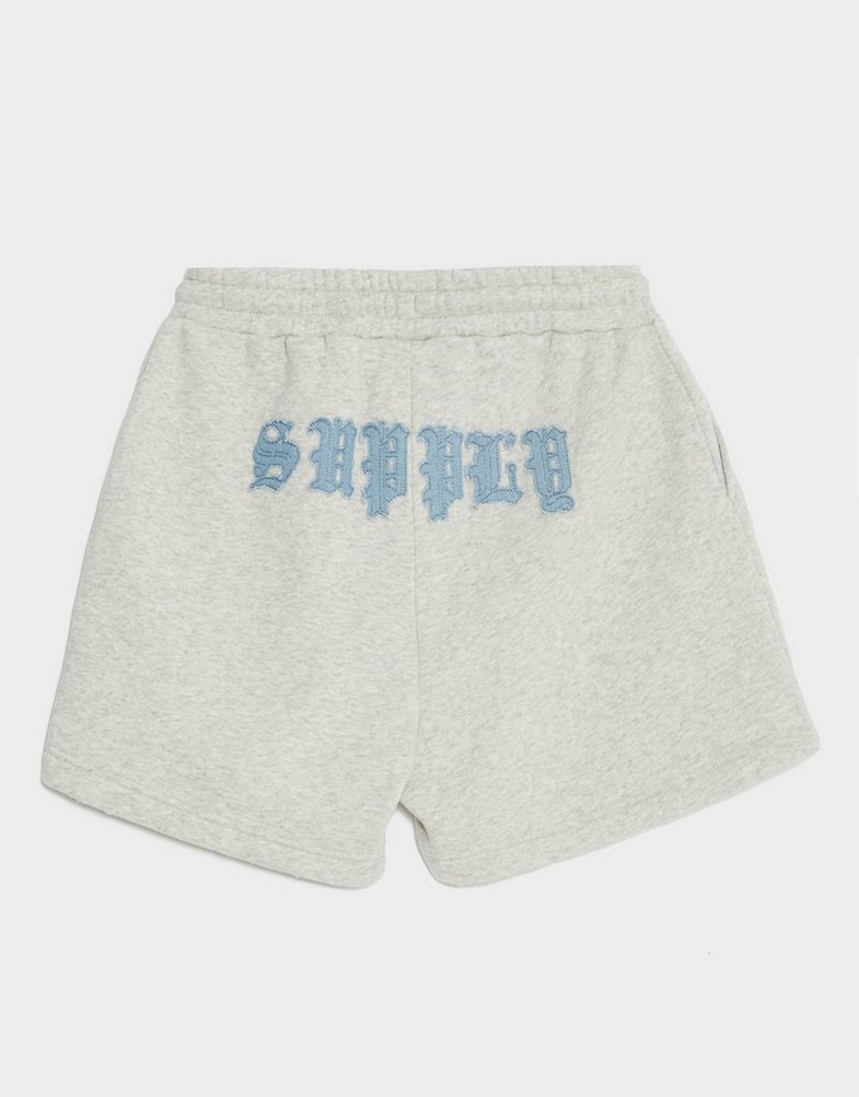 Pantaloni scurți pentru femei SUPPLY&DEMAND PANTALONI SCURȚI MORDEN SHT SUPTW17665054 Gri