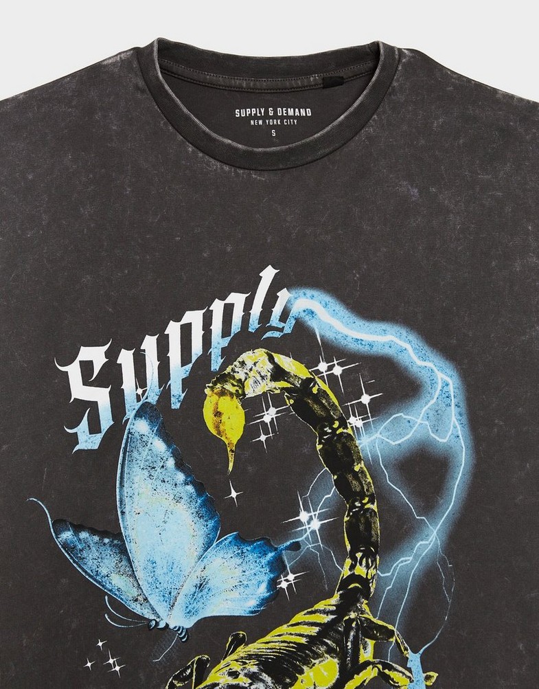 Koszulka, t-shirt damski SUPPLY&DEMAND T-SHIRT SCORP WASH TEE SUPTW17900588 Szary