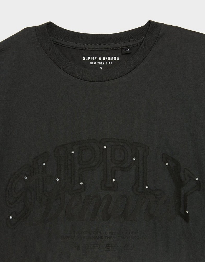 Дамска тениска SUPPLY&DEMAND ТЕНИСКА SPRAY TEE SUPTW17902526 Сив