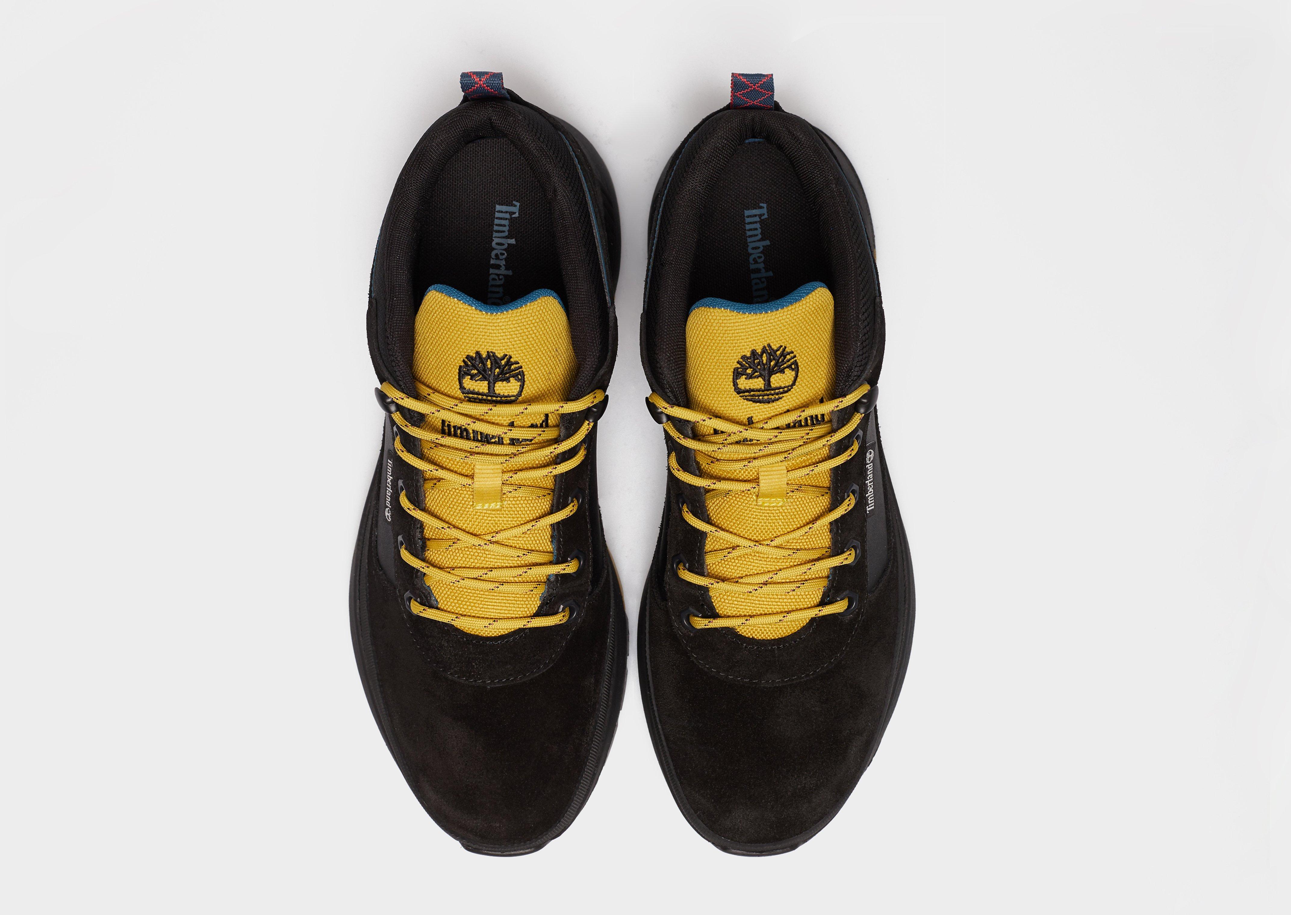 Žieminiai batai vyrams TIMBERLAND FIELD TREKKER TB0A5NDQ0151 Juoda