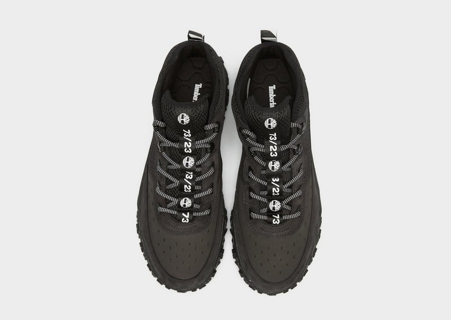 Чоловіче зимове взуття TIMBERLAND GS MOTION 6 HIKER TB0A5VAC0151 Чорний
