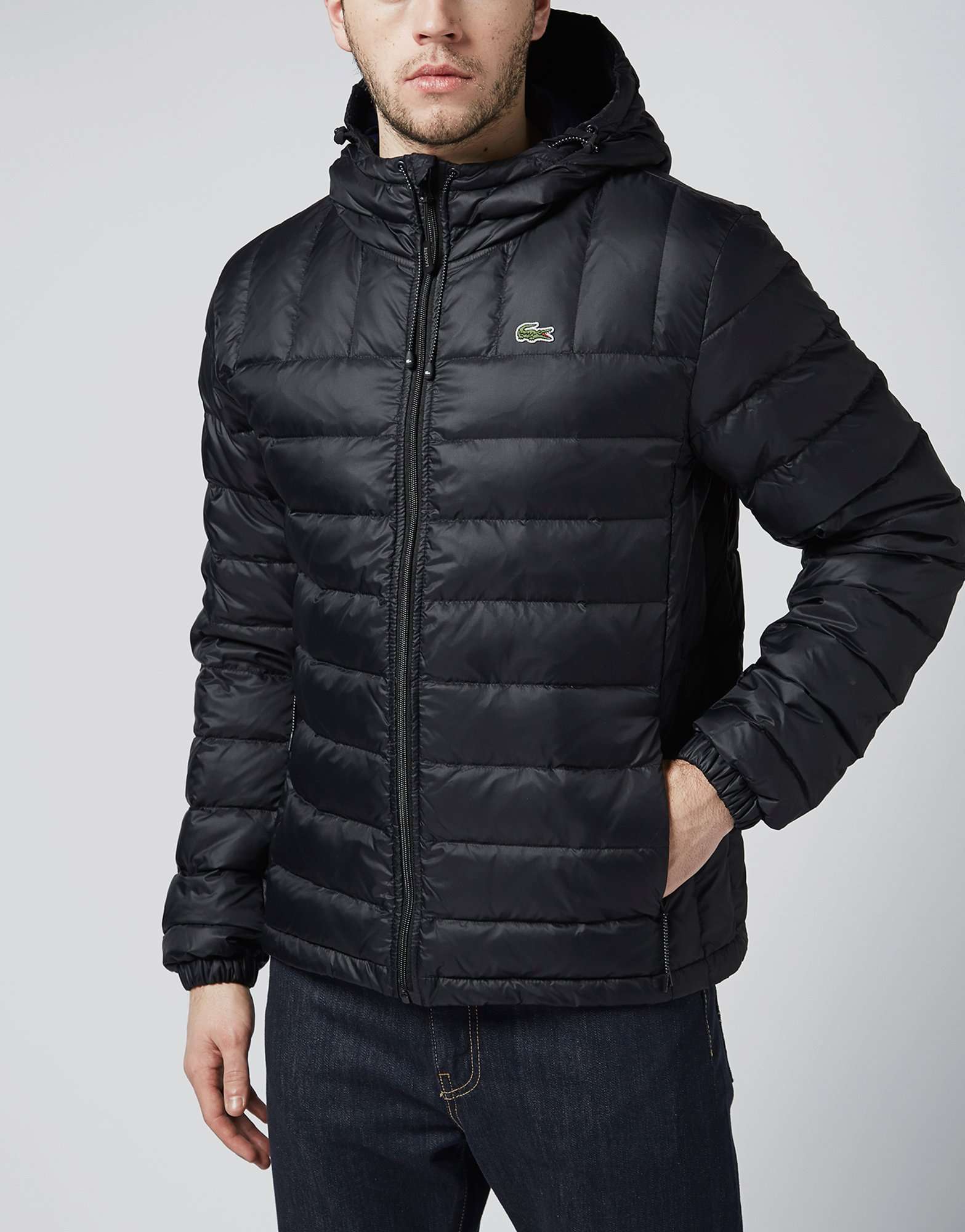 lacoste bubble coat