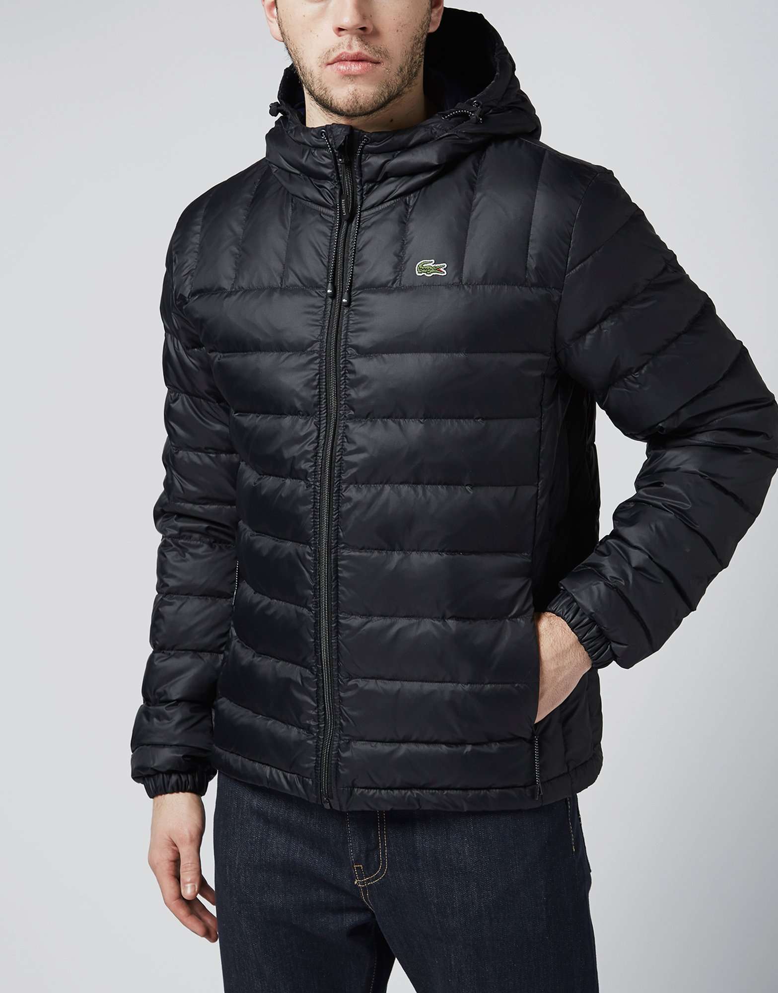 Lacoste Tech Bubble Jacket | scotts Menswear