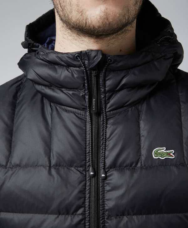 lacoste bubble coat