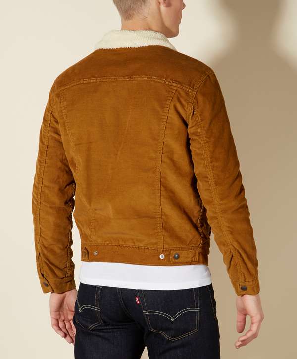 Levis Cord Sherpa Jacket scotts Menswear