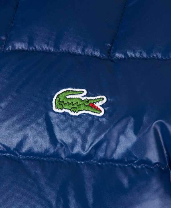 lacoste bubble coat