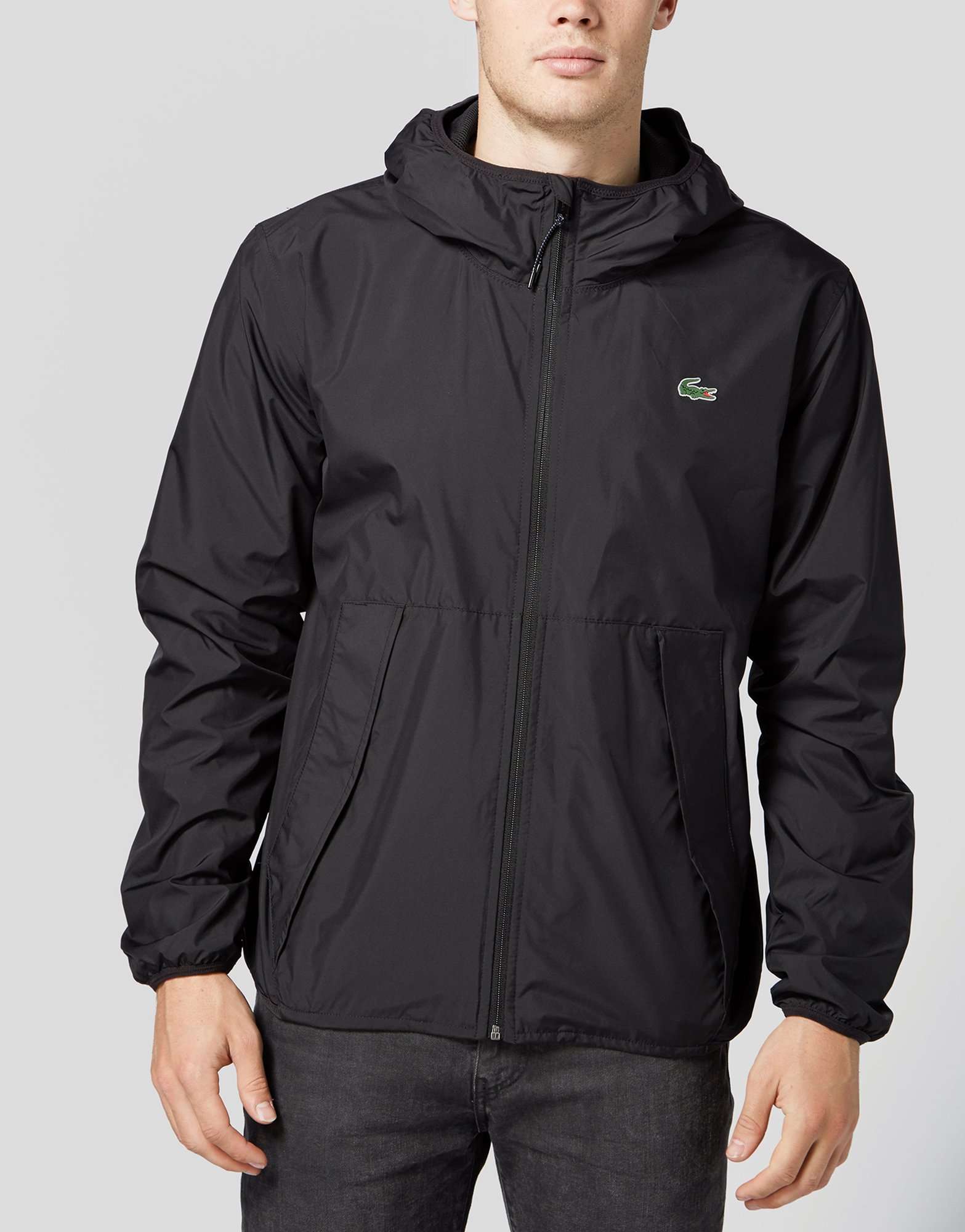 lacoste bubble coat