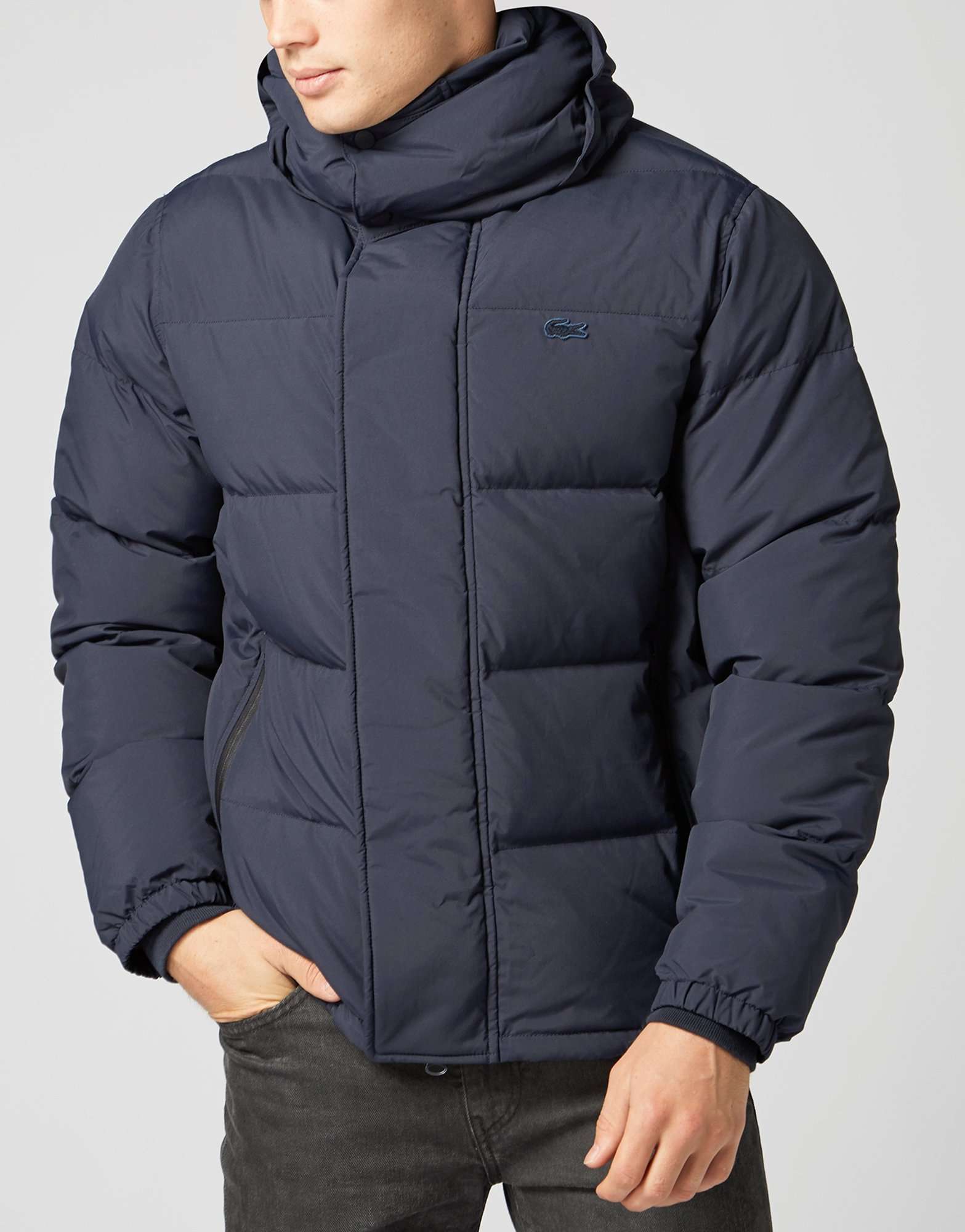Lacoste Premium Bubble Jacket | scotts Menswear